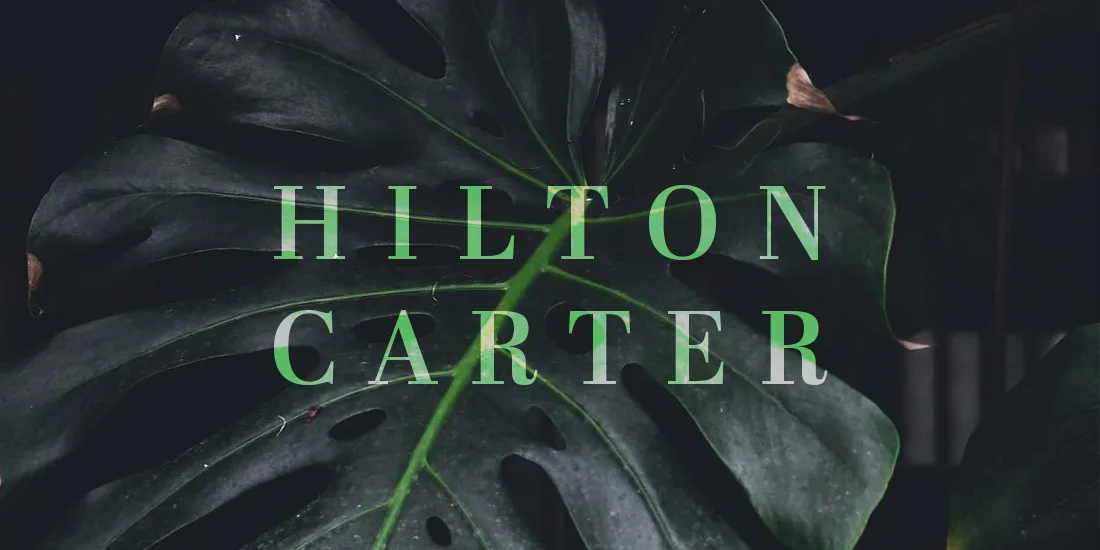 Does Hilton Carter's Organic Interiors Style Translate to Presentations?